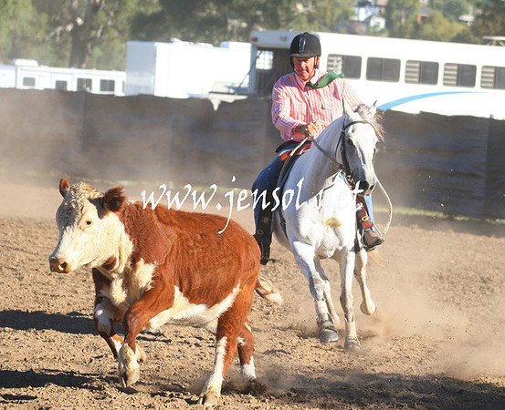 GundagaiGiddyup2013_1D_1017