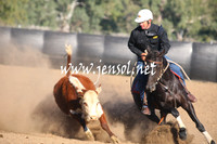 GundagaiGiddyup2013_1D_1029