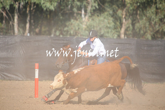GundagaiGiddyup2013_1D_1049