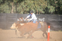 GundagaiGiddyup2013_1D_1052
