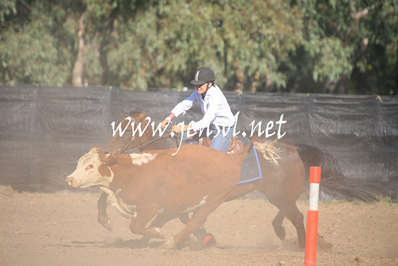 GundagaiGiddyup2013_1D_1052