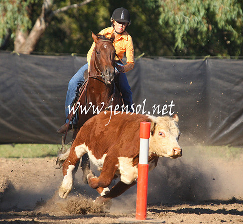 GundagaiGiddyup2013_1D_1002
