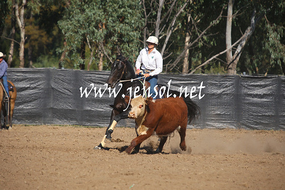 GundagaiGiddyup2013_1D_1206