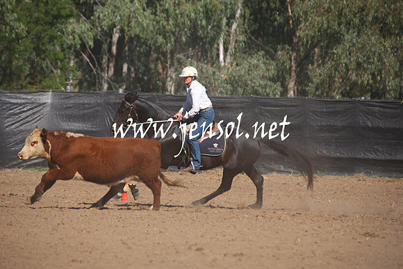GundagaiGiddyup2013_1D_1197
