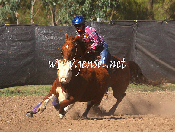 GundagaiGiddyup2013_1D_1140