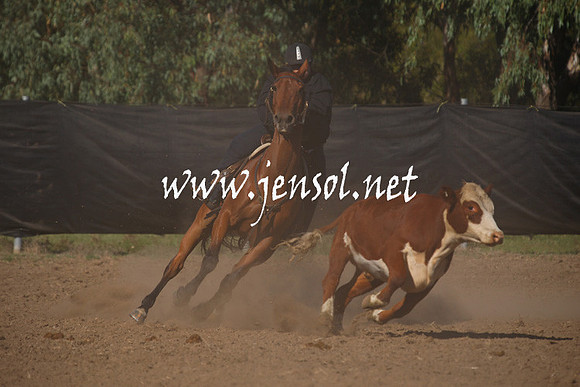 GundagaiGiddyup2013_1D_1119
