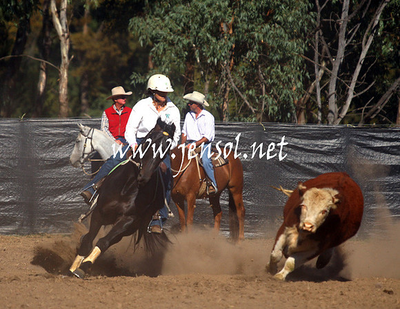 GundagaiGiddyup2013_1D_1117