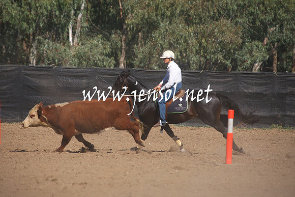 GundagaiGiddyup2013_1D_1193