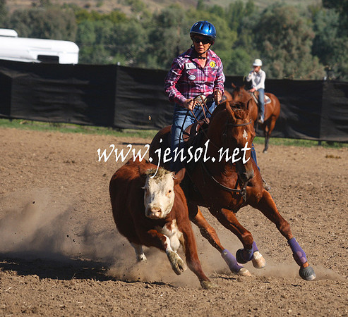 GundagaiGiddyup2013_1D_1151