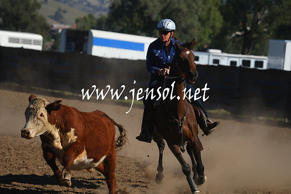 GundagaiGiddyup2013_1D_1133