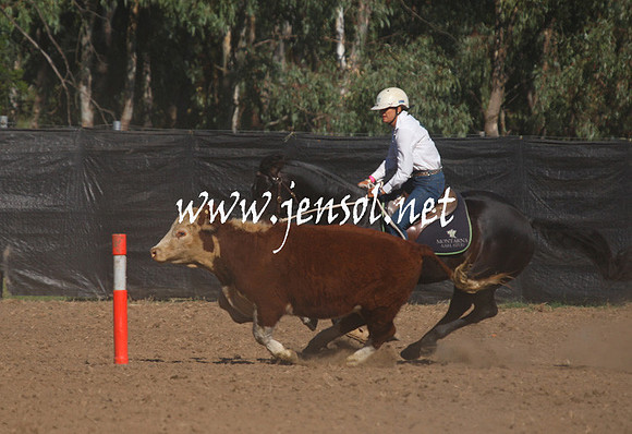 GundagaiGiddyup2013_1D_1115