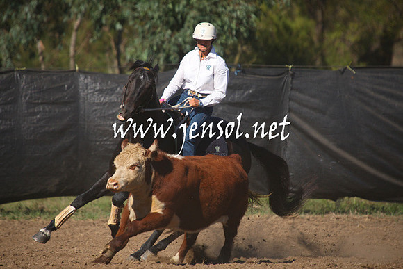 GundagaiGiddyup2013_1D_1184