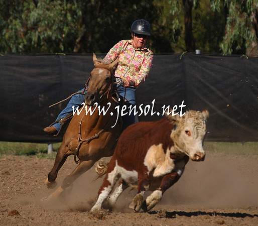 GundagaiGiddyup2013_1D_1088