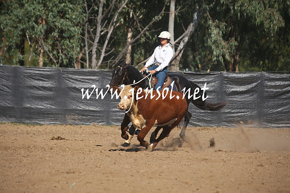 GundagaiGiddyup2013_1D_1200