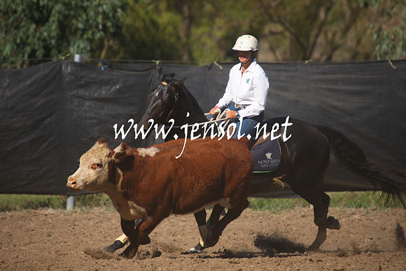 GundagaiGiddyup2013_1D_1181