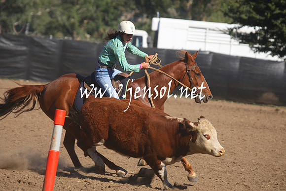GundagaiGiddyup2013_1D_1162