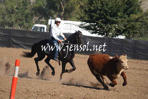 GundagaiGiddyup2013_1D_1185