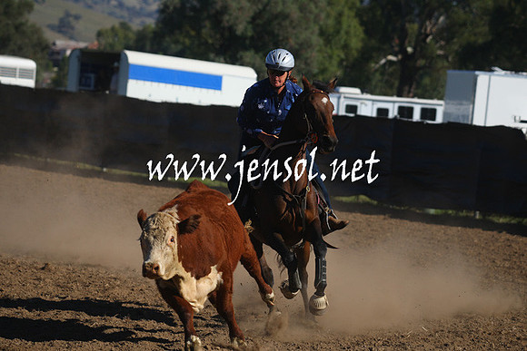 GundagaiGiddyup2013_1D_1130