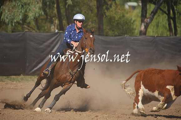 GundagaiGiddyup2013_1D_1180