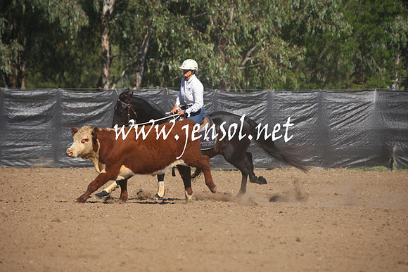 GundagaiGiddyup2013_1D_1196