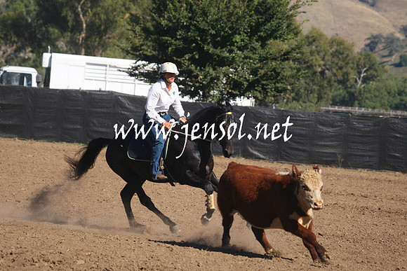 GundagaiGiddyup2013_1D_1186