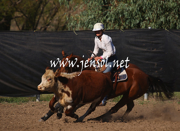 GundagaiGiddyup2013_1D_1091