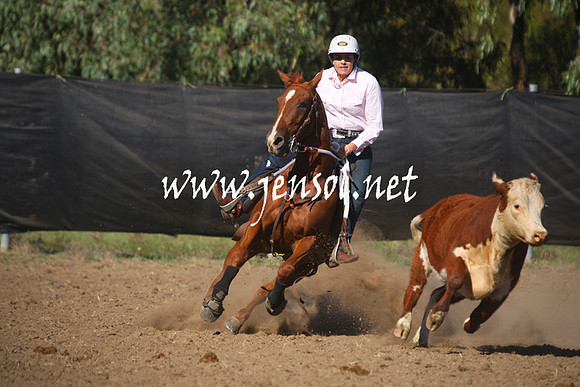 GundagaiGiddyup2013_1D_1135