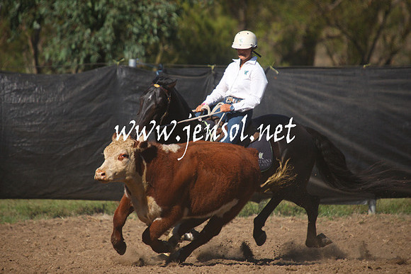 GundagaiGiddyup2013_1D_1182