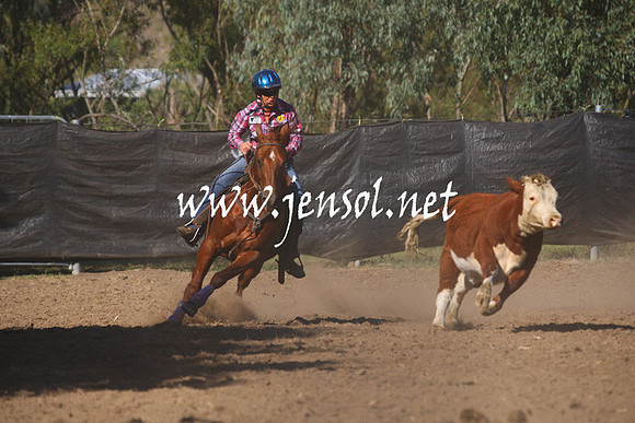GundagaiGiddyup2013_1D_1145