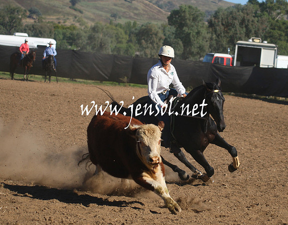 GundagaiGiddyup2013_1D_1113