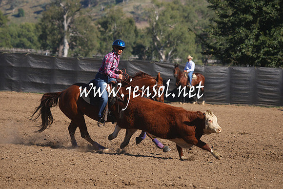 GundagaiGiddyup2013_1D_1147