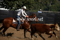 GundagaiGiddyup2013_1D_1097