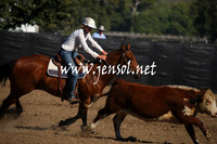 GundagaiGiddyup2013_1D_1098