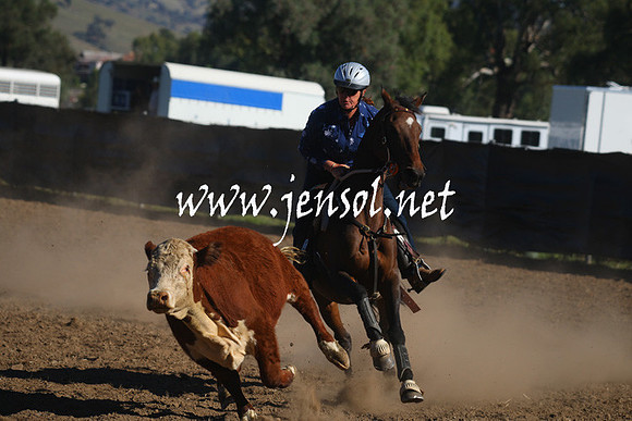 GundagaiGiddyup2013_1D_1132