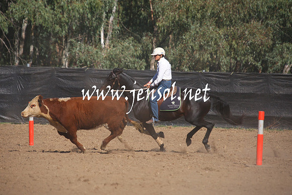 GundagaiGiddyup2013_1D_1194