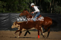 GundagaiGiddyup2013_1D_1104