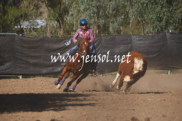 GundagaiGiddyup2013_1D_1143