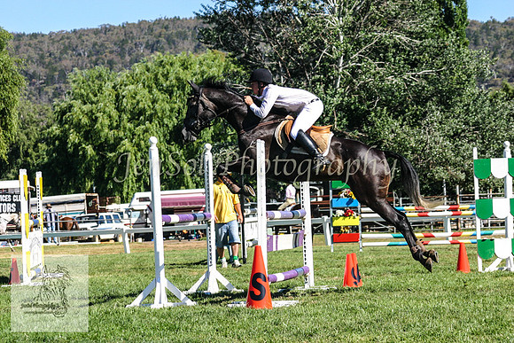 Sun_ShowjumpingKJS 046