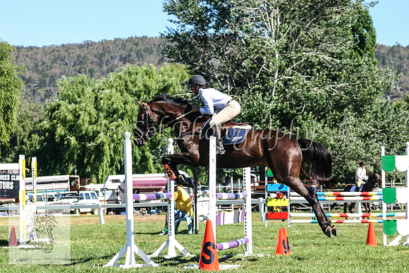 Sun_ShowjumpingKJS 042