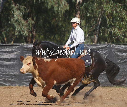 GundagaiGiddyup2013_1D_1199