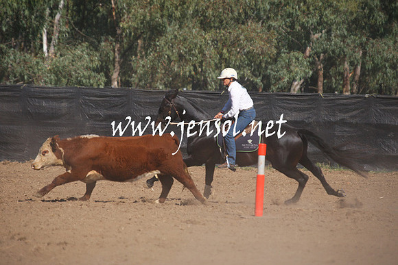 GundagaiGiddyup2013_1D_1192