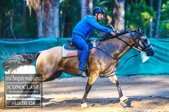 CooranbongFeb2018_6302