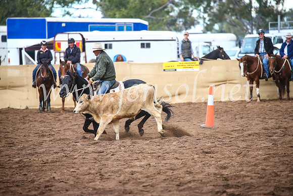 CoonambleRodeoCampdraftSun_3989