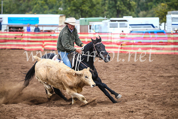 CoonambleRodeoCampdraftSun_3976