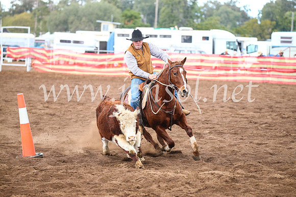 CoonambleRodeoCampdraftSun_3877
