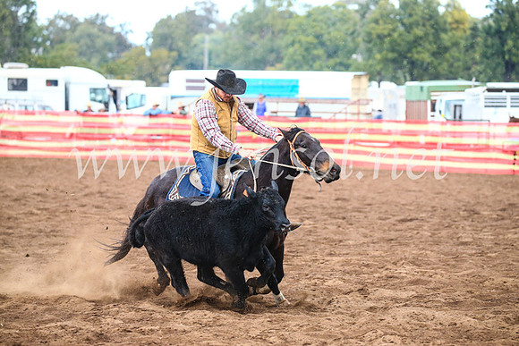 CoonambleRodeoCampdraftSun_3928