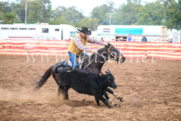 CoonambleRodeoCampdraftSun_3933