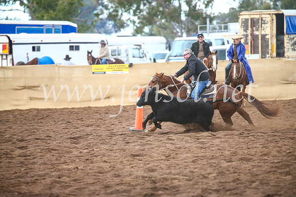 CoonambleRodeoCampdraftSun_3895