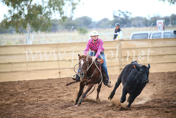 CoonambleRodeoCampdraftSun_3906