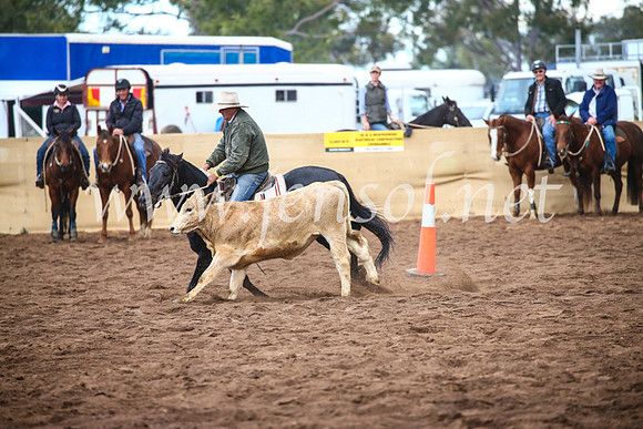 CoonambleRodeoCampdraftSun_3991